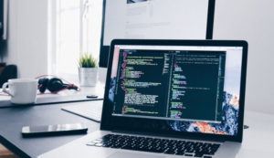 Desarrollo de paginas web